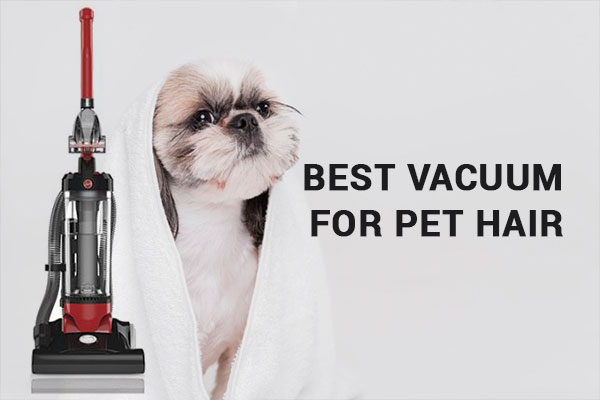 Best Vacuum For Pet Hair
